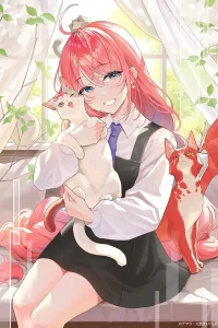 Кот и дракон